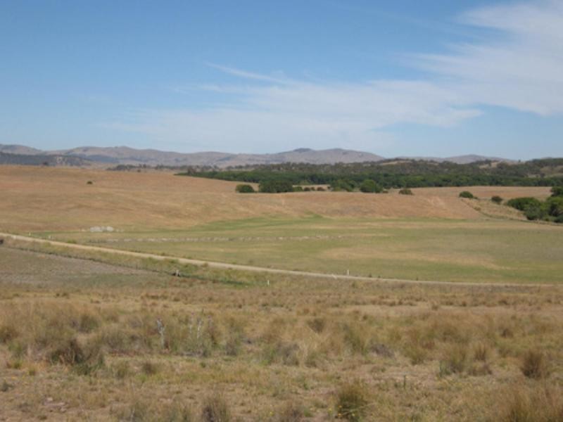 2280 Hoskinstown Road, Hoskinstown NSW 2621