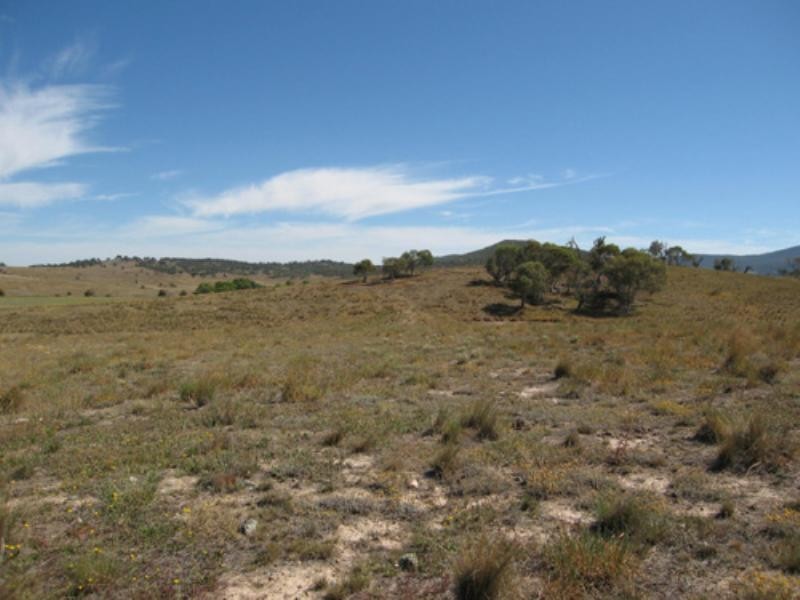 2280 Hoskinstown Road, Hoskinstown NSW 2621