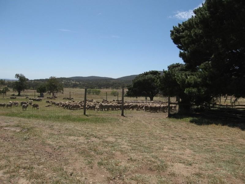 151 Winter Road, Bungendore NSW 2621