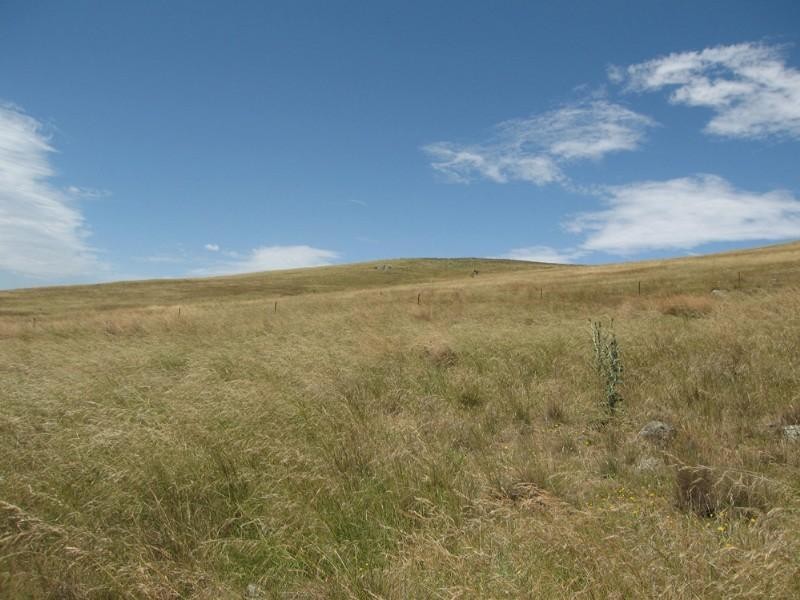 151 Winter Road, Bungendore NSW 2621