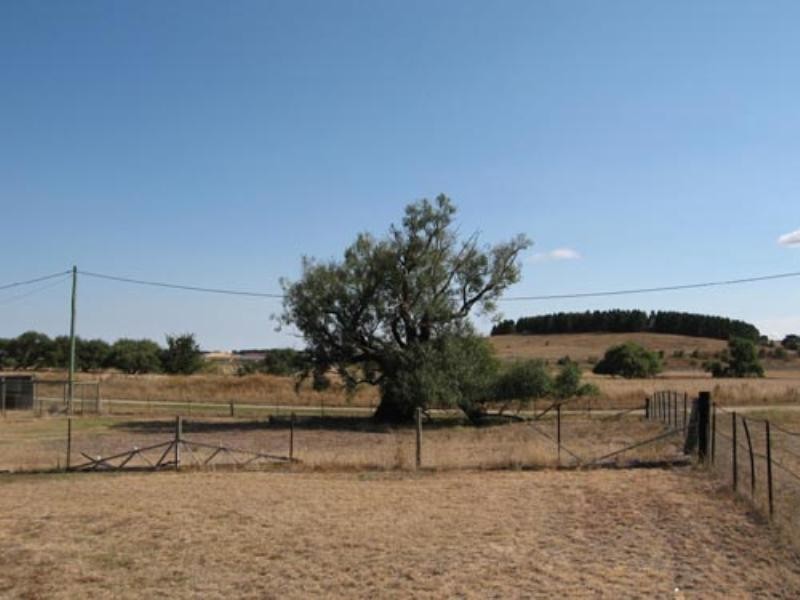 7 Modbury Street, Bungendore NSW 2621