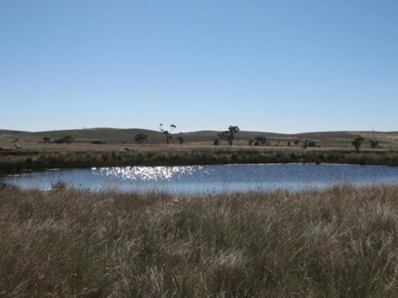 Lot 11 Roseview Estate, Tarago NSW 2580