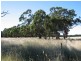 Lot 11 Roseview Estate, Tarago NSW 2580