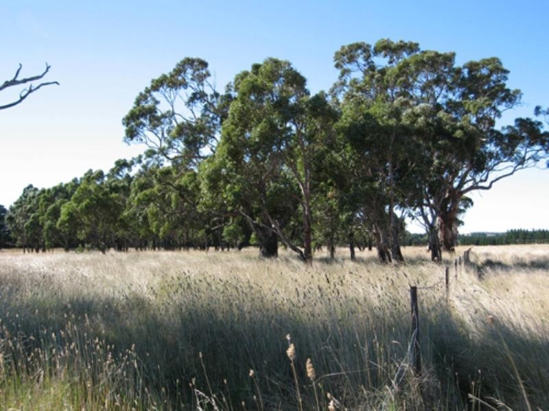 Lot 11 Roseview Estate, Tarago NSW 2580