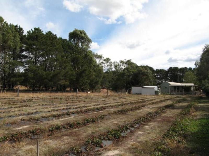 115 Ellendon Street, Bungendore NSW 2621