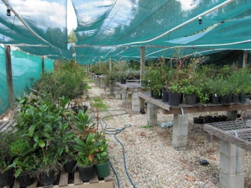 115 Ellendon Street, Bungendore NSW 2621