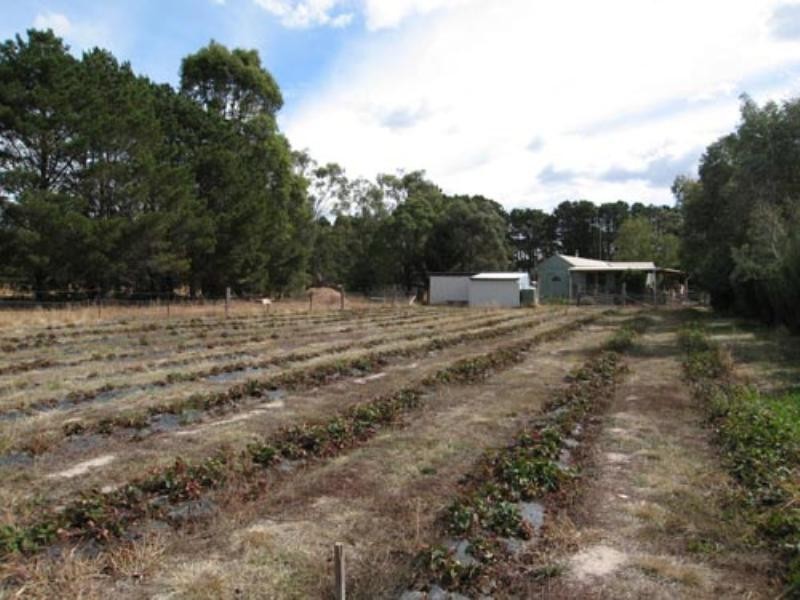 115 Ellendon Street, Bungendore NSW 2621