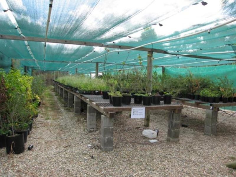 115 Ellendon Street, Bungendore NSW 2621