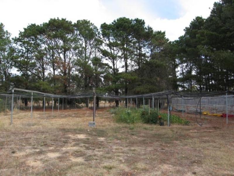 115 Ellendon Street, Bungendore NSW 2621