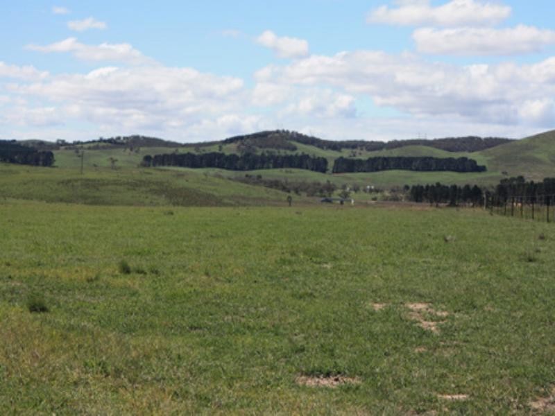 - Mt Fairy Road, Bungendore NSW 2621