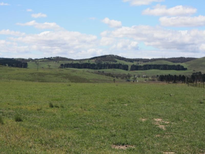 - Mt Fairy Road, Bungendore NSW 2621