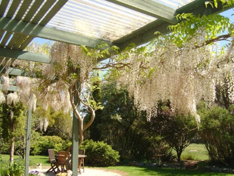 75 Ellendon Street, Bungendore NSW 2621