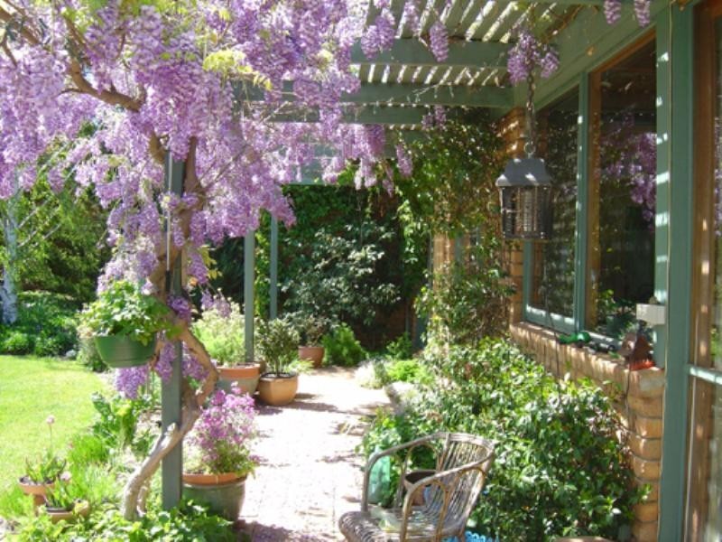 75 Ellendon Street, Bungendore NSW 2621