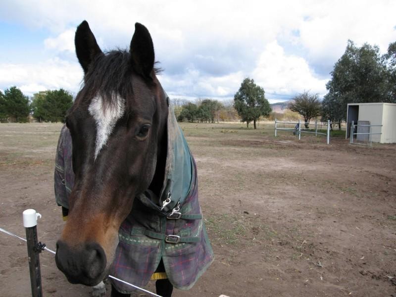 32 Elmslea Drive, Bungendore NSW 2621