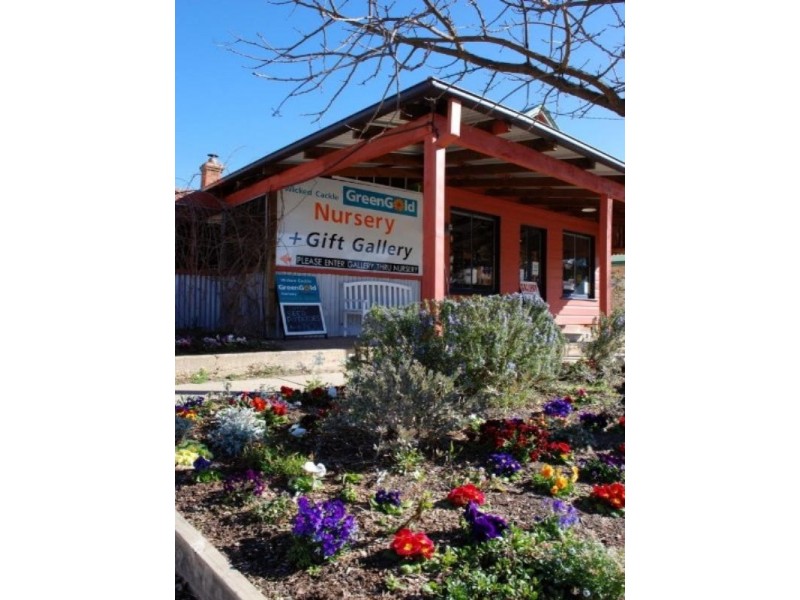 29 Gibraltar Street, Bungendore NSW 2621