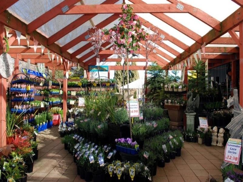 29 Gibraltar Street, Bungendore NSW 2621