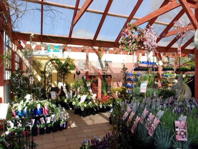 29 Gibraltar Street, Bungendore NSW 2621