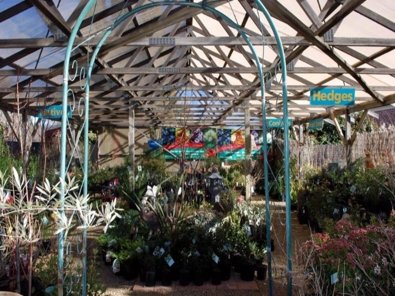 29 Gibraltar Street, Bungendore NSW 2621