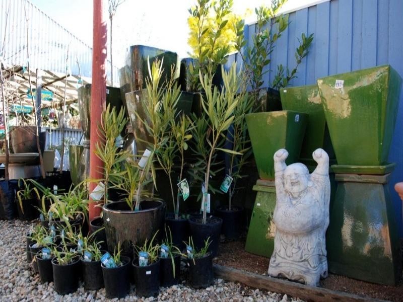 29 Gibraltar Street, Bungendore NSW 2621