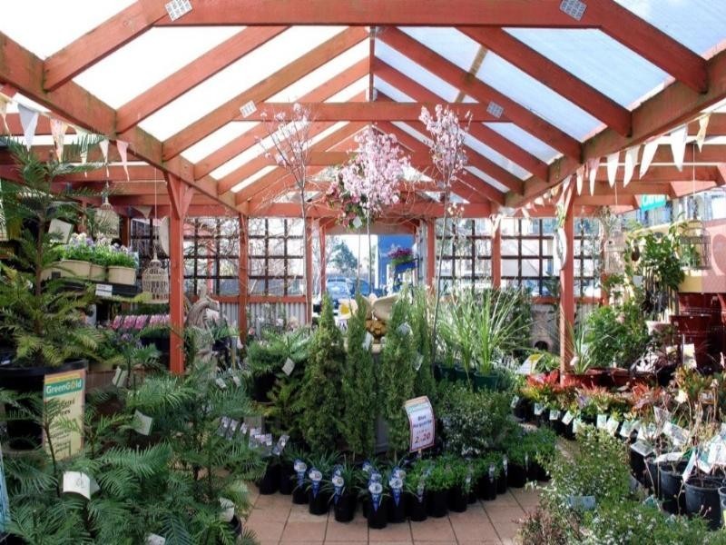 29 Gibraltar Street, Bungendore NSW 2621