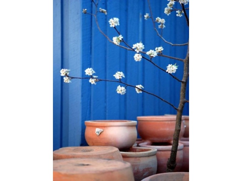 29 Gibraltar Street, Bungendore NSW 2621