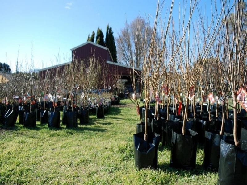 29 Gibraltar Street, Bungendore NSW 2621