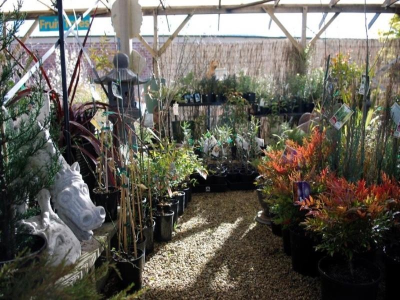 29 Gibraltar Street, Bungendore NSW 2621