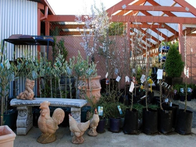 29 Gibraltar Street, Bungendore NSW 2621