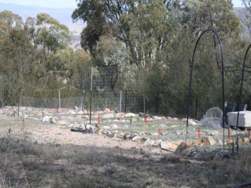 552 Forbes Creek Road, Hoskinstown NSW 2621