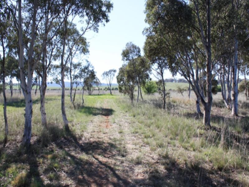 128 Ellendon Street, Bungendore NSW 2621