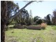 128 Ellendon Street, Bungendore NSW 2621