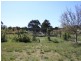128 Ellendon Street, Bungendore NSW 2621