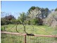 128 Ellendon Street, Bungendore NSW 2621