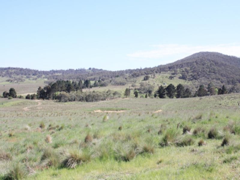 36 Rossi Road, Hoskinstown NSW 2621