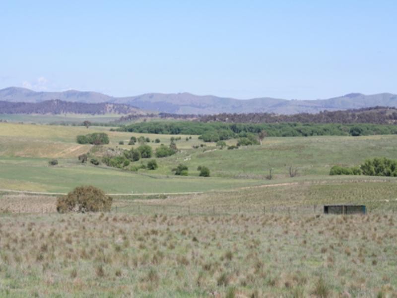 36 Rossi Road, Hoskinstown NSW 2621