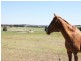 87 Millynn Road, Bywong NSW 2621