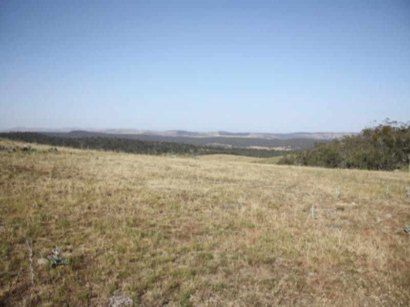 91 Butmaroo Road, Bungendore NSW 2621