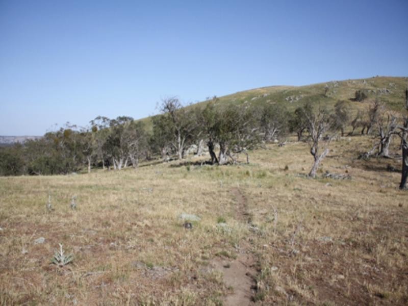 91 Butmaroo Road, Bungendore NSW 2621