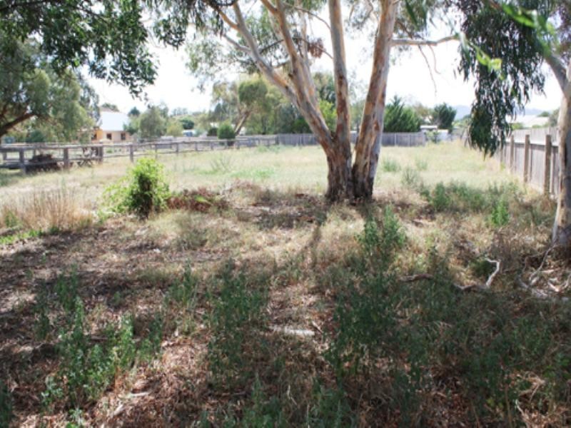 54 Butmaroo Street, Bungendore NSW 2621