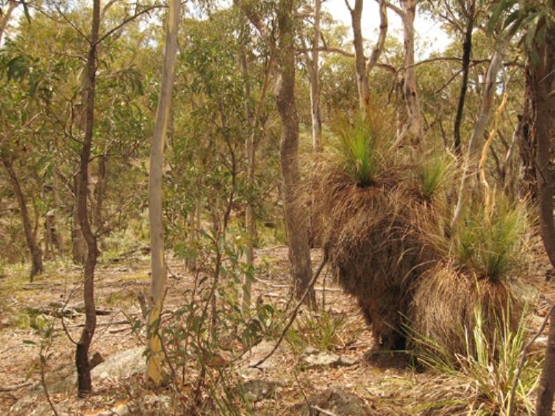 260 Old Mill Road, Forbes Creek NSW 2621