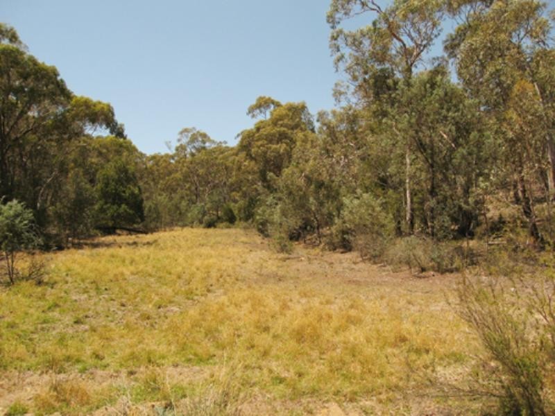 260 Old Mill Road, Forbes Creek NSW 2621