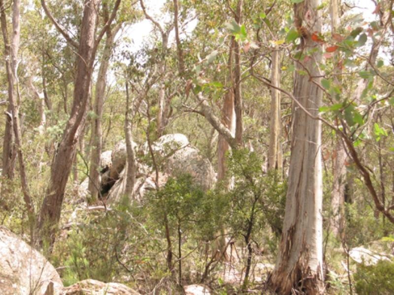 260 Old Mill Road, Forbes Creek NSW 2621