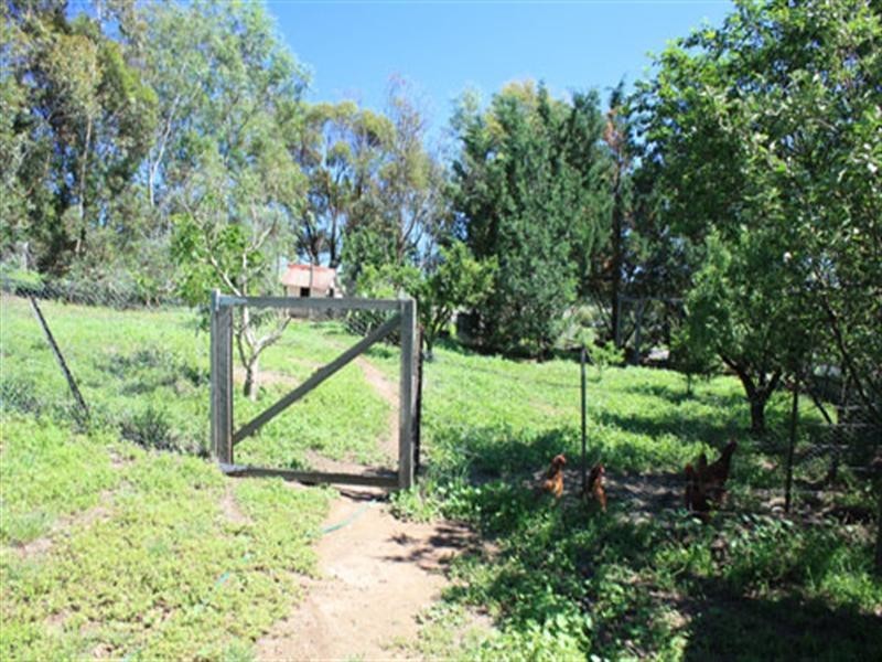 2705 Braidwood Road, Lake Bathurst NSW 2580