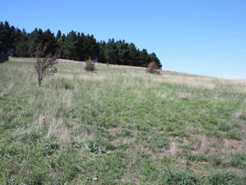 6 O’Neill Place, Bungendore NSW 2621