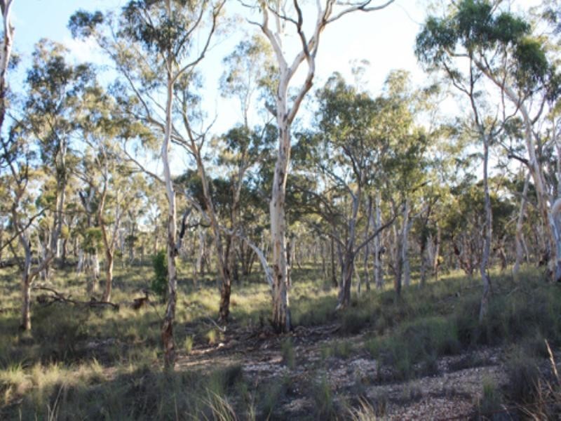 Lot 201 Gidleigh Lane, Bungendore NSW 2621