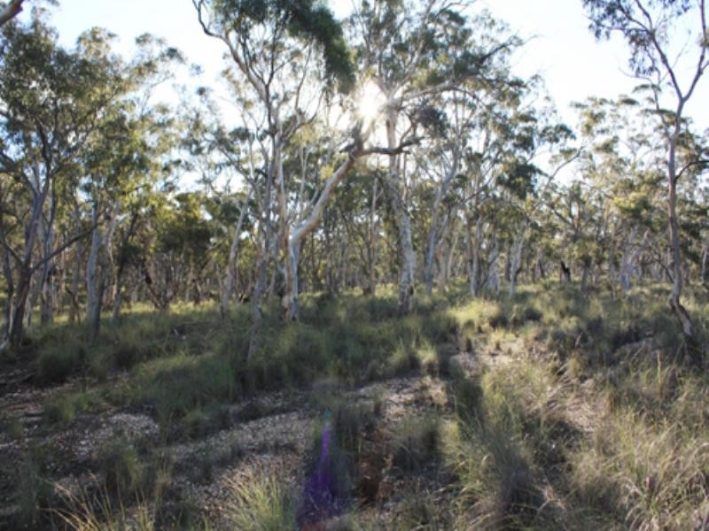 Lot 201 Gidleigh Lane, Bungendore NSW 2621