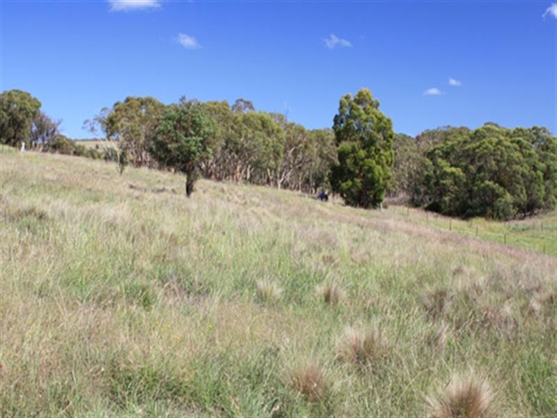 14 Rosebery Street, Tarago NSW 2580