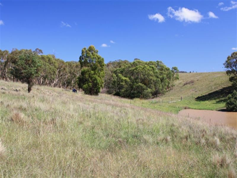 14 Rosebery Street, Tarago NSW 2580