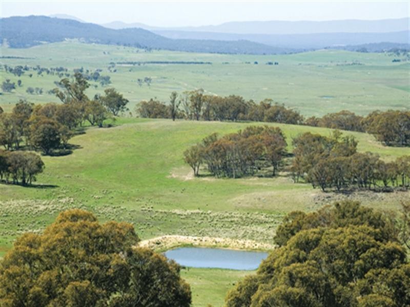 3582 Kings Highway, Bungendore NSW 2621