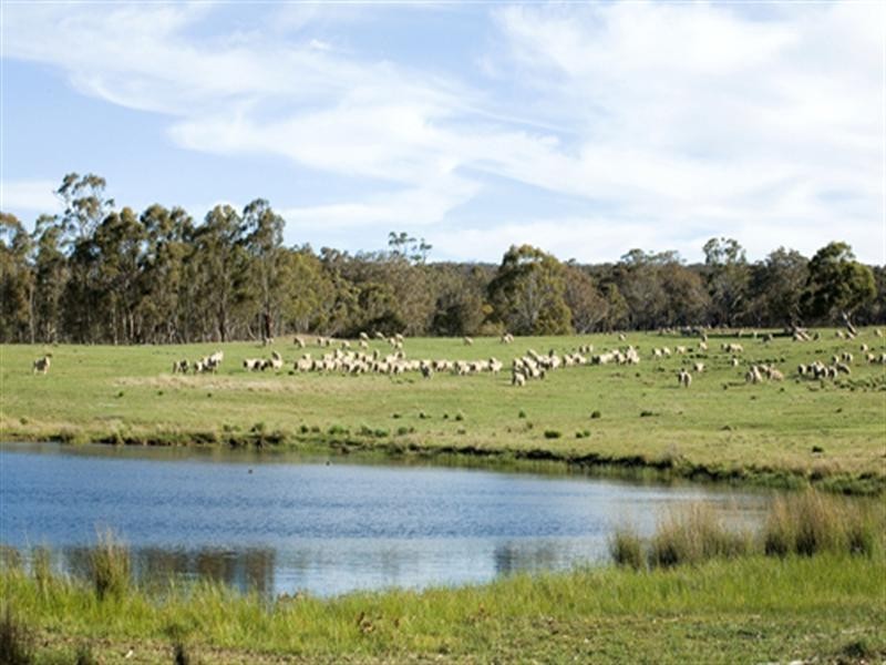 3582 Kings Highway, Bungendore NSW 2621